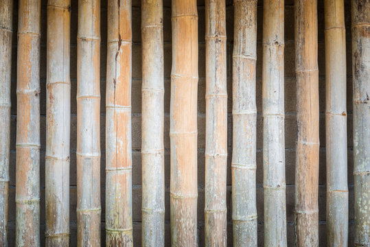 The Bamboo fence for decoration house in the countryside.