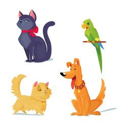 cats, dog and parrot vector illustration.