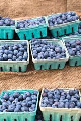 freshly harvested organic blueberries in disposable carton boxes over hemp cloth. farmers market, nobody, vertical with copy space