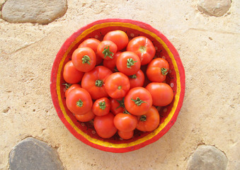 Tomatoes in a Red Bowl 1