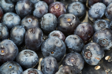 Surface coated with bilberries