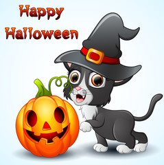 Cat cartoon with a witch hat and pumpkin