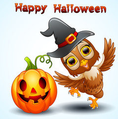 Owl cartoon with Halloween hat and pumpkin
