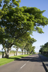 Open Road, Lindisfarne; Holy Island;