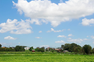 Landscape of Saitama Minuma Ku