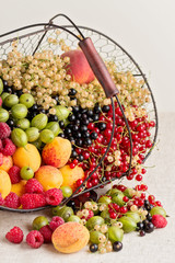Summer fruits and berries - red, black and white currants, raspb