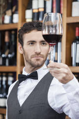 Confident Of Bartender Examining Red Wine