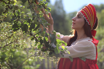 Slav in traditional dress collects the harvest of apples