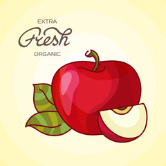 Vector illustration of red apple