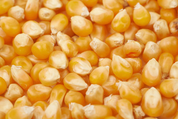 Surface coated with corn kernels