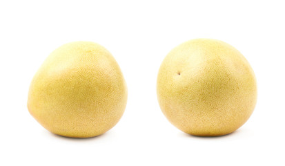 Pomelo grapefruit isolated