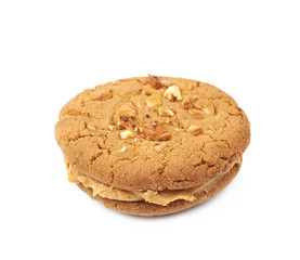 Peanut butter homemade cookie isolated