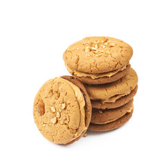 Peanut butter homemade cookie isolated