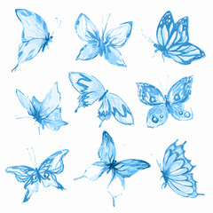 Watercolor butterflies set. Blue butterflies on white background. Beautiful fragile creatures for decoration.