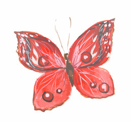 Isolated watercolor red butterfly on white background. Beautiful fragile creature for decoration.