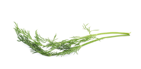 Dill herb isolated