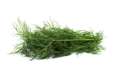 Dill herb isolated