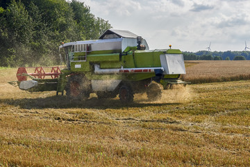 Working Harvesting Combine in the Field of Wheat