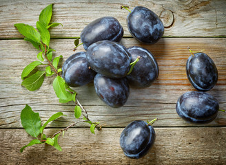fresh blue plums © Mara Zemgaliete