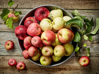Naklejka na ściany i meble plate of various fresh apples