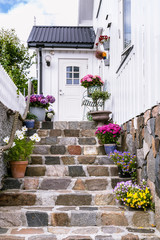 Colorfull flowers on he staircase of a white wooden house in Scandinavia