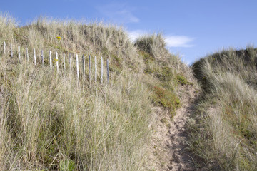 Dune on Lindisfarne; Holy Island; Northumberland