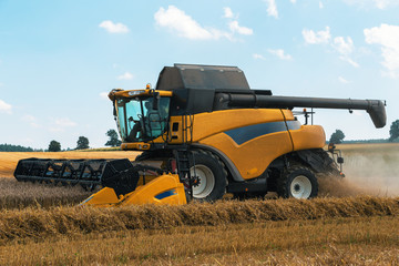 Yellov harvester on field harvesting gold wheat