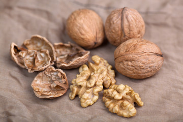Walnut without shell close-up, and nuts in the shell