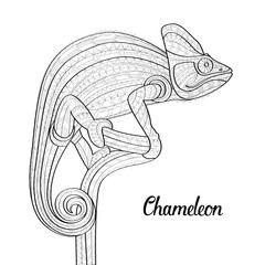 Hand drawn doodle outline chameleon illustration. Decorative in African indian totem Ethnic tribal aztec design. Patterned fiery on the grunge background. Sketch for adult antistress coloring page.