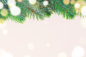 Fototapeta na wymiar christmas fir tree on white surface, view from above