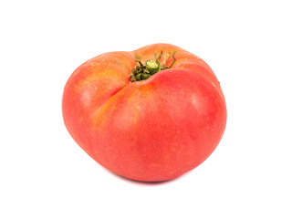 Big red tomato