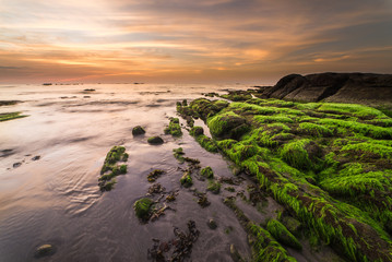 green moss covered rock during sunset. Image may contain soft focus and blur due to long expose.
