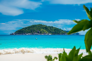 Beautiful tropical island beach in sunny day background. Summer holiday vacation in green nature outdoor concept.