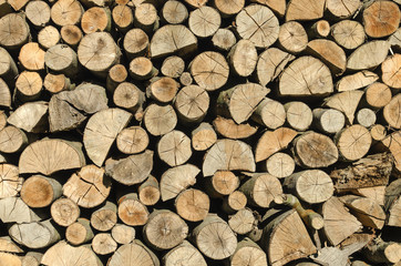 wooden logs stacked on one another
