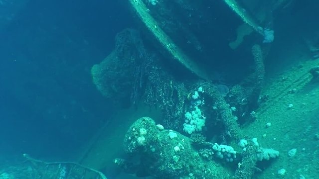   The Giannis D wreck wreck diving Egypt scuba diving red sea divers safari boat diveboat