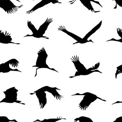 Seamless pattern - stork solhouettes