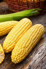 raw corn on a dark background