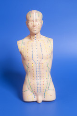 Medical acupuncture model of human