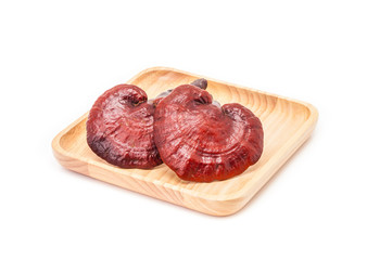 ganoderma lucidum mushroom on wooden plate isolated in white bac