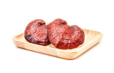 ganoderma lucidum mushroom on wooden plate isolated in white bac