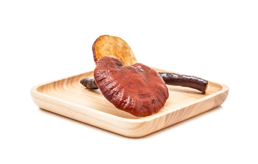 ganoderma lucidum mushroom on wooden plate isolated in white bac