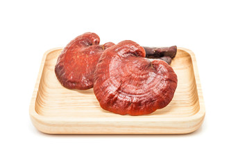 ganoderma lucidum mushroom on wooden plate isolated in white bac
