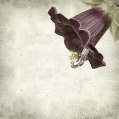 textured old paper background