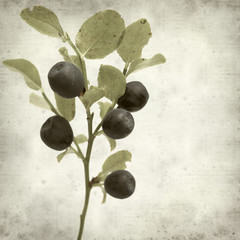 textured old paper background