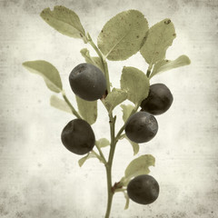 textured old paper background