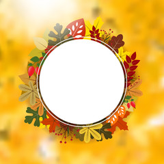 Blank circle frame on autumnal background