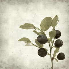 textured old paper background