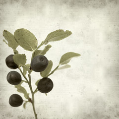 textured old paper background