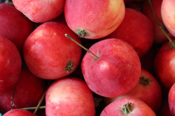 apples