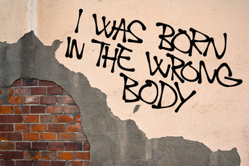 I Was Born In Wrong Body - handwritten graffiti sprayed on the wall, anarchist aesthetics -...